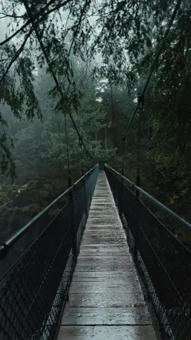 Drift creek falls 🖤 . . . #driftcreekfalls #oregon #oregoncoast #waterfall #waterfallsoftiktok #waterfallhike #oregonphotographer #suspensionbridge #pnw #pnwwaterfalls #pnwphotographer #oregonexplored #nature #naturelover #hiketok #rei #hikingadventures #hikingtiktok #rainyday #rain #moody #fyp