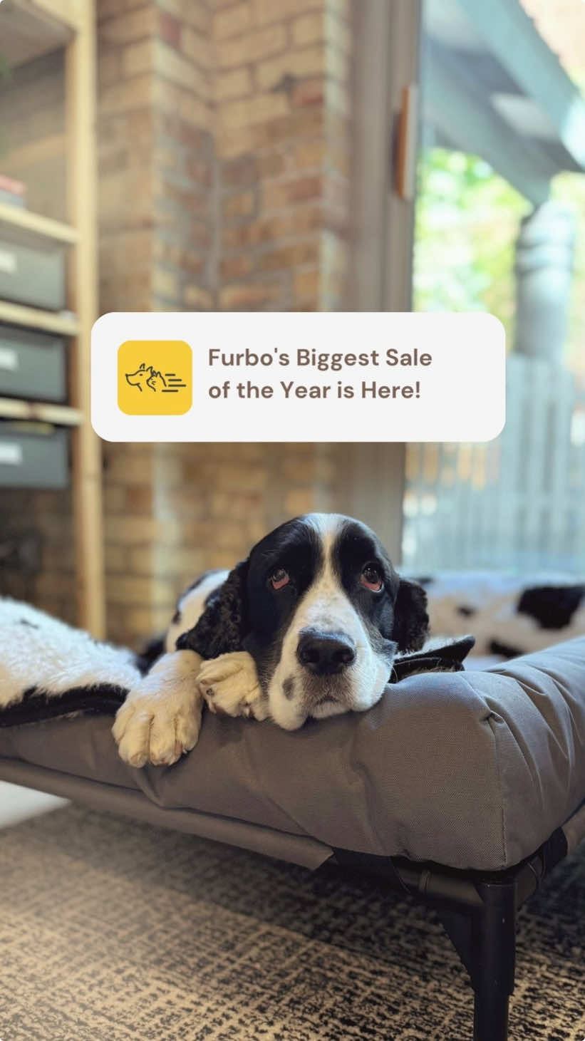 Furbo’s BIGGEST sale of the year is here! 💛 Save over 30% — only in the @Furbo Pet Camera TikTok shop! #furbopartner #furbo #furbomoments #hometech #smarthome #dogmom #dogdad #petcamera 