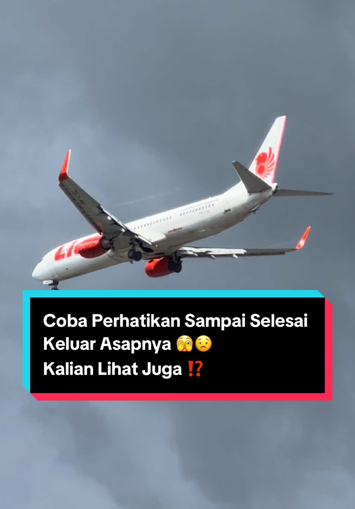 Landing airplane #pesawat #airplane #pesawatterbang #airplanetiktok #citilink #citilinkindonesia #pelitaair #pramugari #pramugariindonesia #pilot #wingsair #lionair #garudaindonesia #jetstar #batikair 