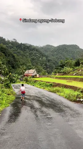 📍hariang - sindang agung - Sobang, sekarang musim hujan jadi barecek ..... disini mah klo malam adem banget klo siang hujan dingin juga..... #sobang #lebakmasakini #lebak #sindangagung #hariang #fyp #fypシ゚ #viral #banten #hujan #sungai #pedesaan #alam