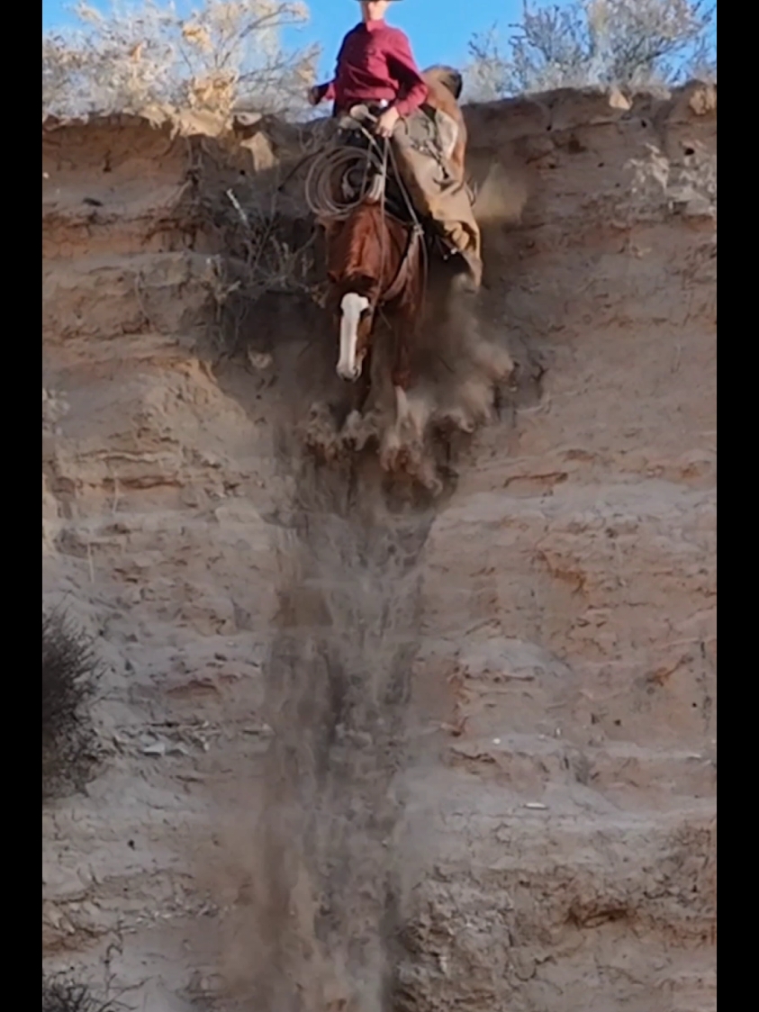 Controlled falling. would you go down? #horses #horse #cowboy #mustanghorse #horsesoftiktok #cowboy #fyp 