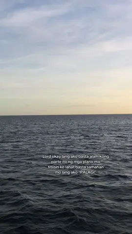 Salama Lord ☝️🥺 #seaman #seamanslife #seafarers #marino #marinotiktok #seamantiktok #marinoph #fypシ #sunset 