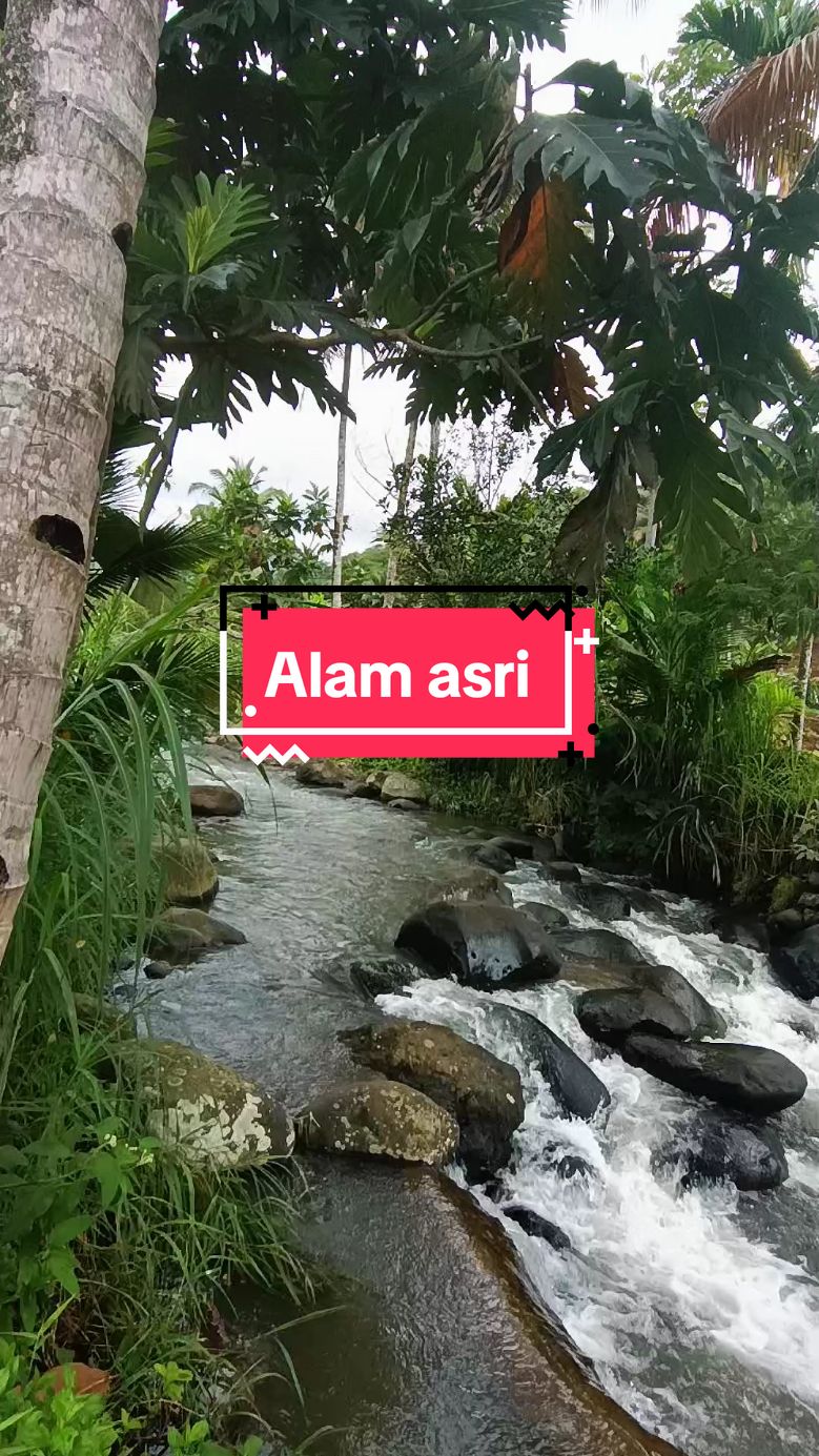 sungai dengan air yang jernih #suasanapedesaan #sawah #alamdesa #desa #desa #air #ciamisjawabarat #sungai 