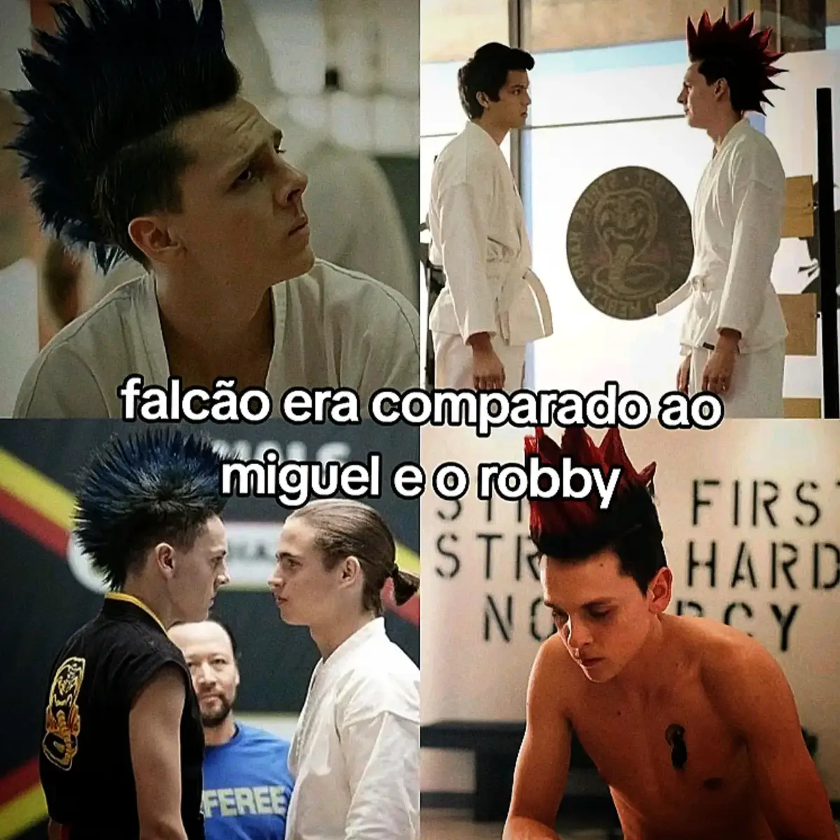 #falcãocobrakai #falcaocobrakai #demitricobrakai #cobrakai #cobrakaichop #sekaitakai 