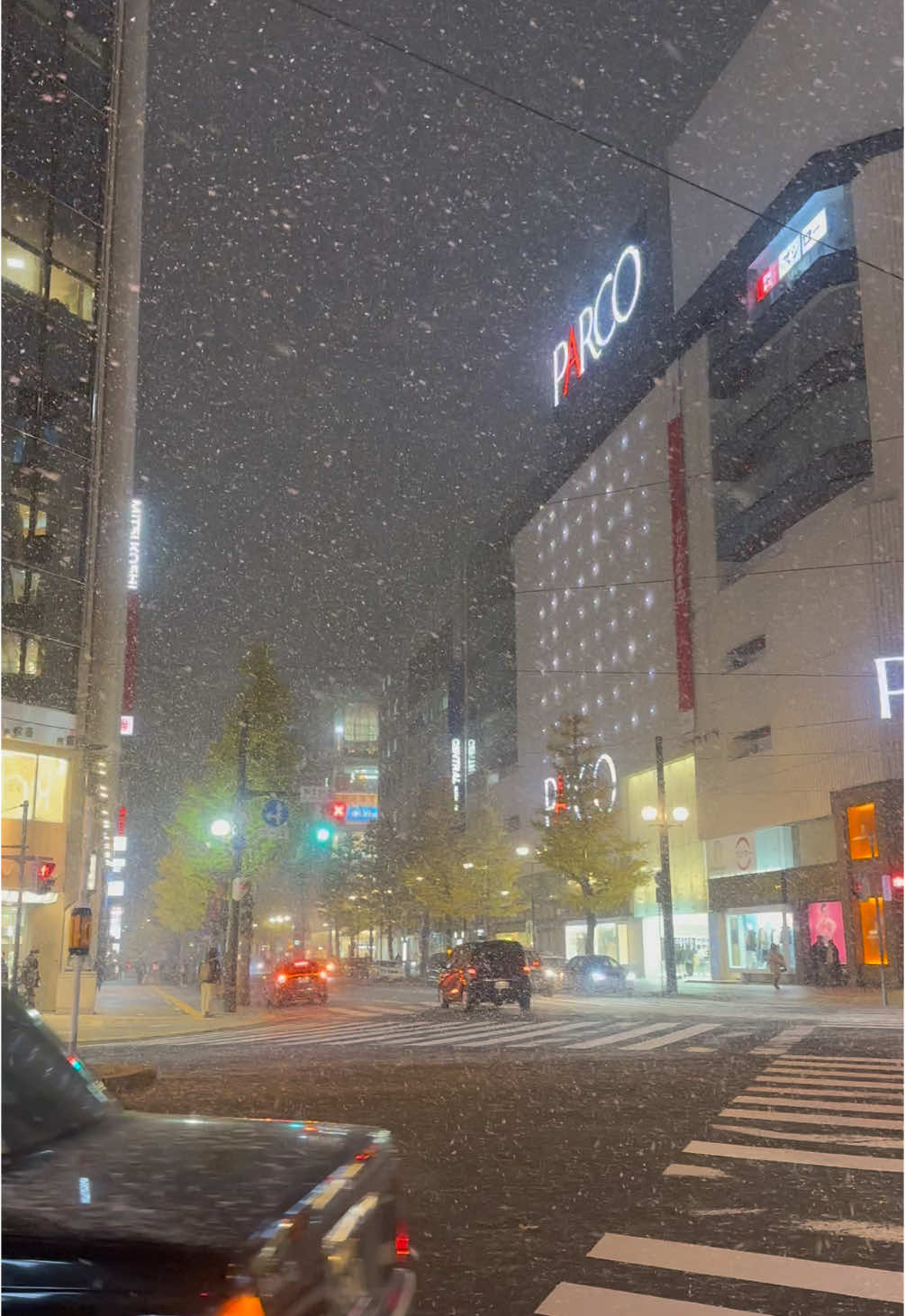 November 18, 2024 Snow Fall ❄️ #sapporo #hokkaido #winter #japan 