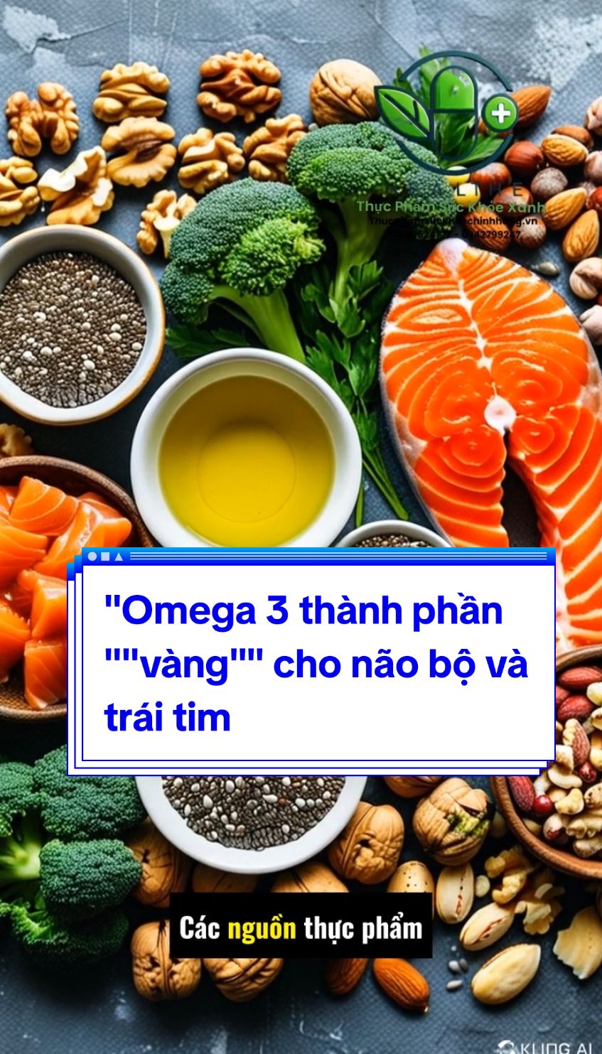 Omega 3 thành phần 