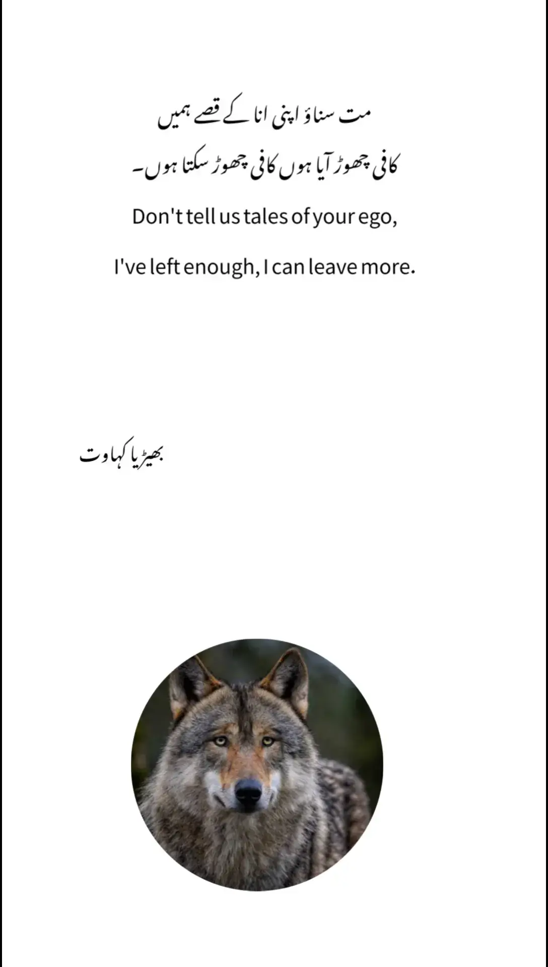 #foryou #fyp #sound #quotes #poetry #urduline #plzviral #animal #wolf #wolflover #tiktok @TiktokPakistanOfficial @TikTok @tiktok creators 