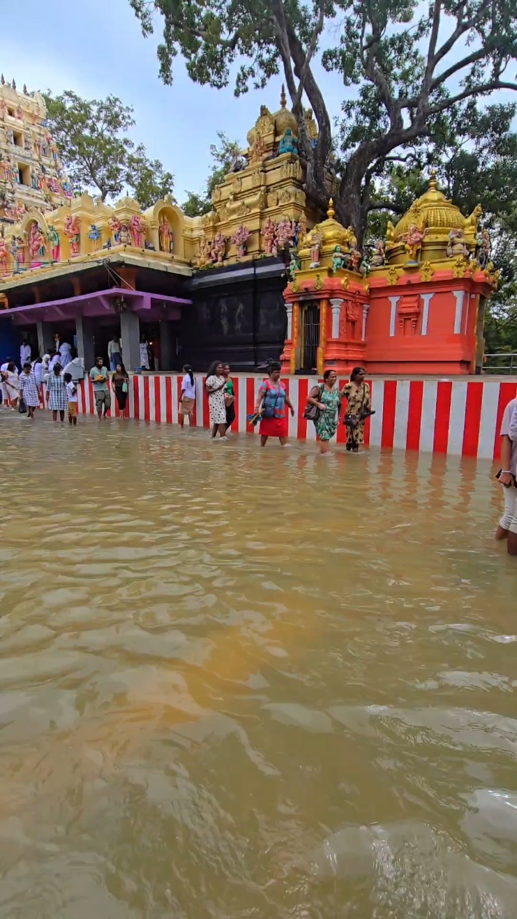 යමු සෙල්ල කතරගම  ඔබ එන්න යනව නම් කඳ කුමාරයා වල්ලිට පෙම් බැන්ඳ කතරගම........#katharagama #sellakatharagama🫅#travel #srilanka #