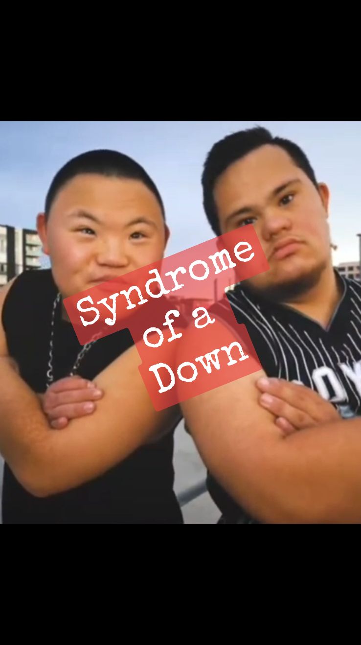 #downsyndrome #chopsuey #systemofadown #syndromeofadown #downsyndromeawareness #homiewithanextrachromie #justforfun #fyp #viralvideo 