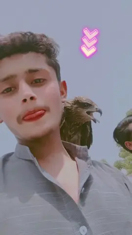 #plzviral🥺🥺🙏🙏foryoupage #missyou #😔❤️‍ 