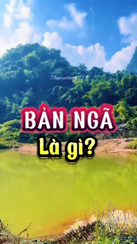BẢN NGÃ LÀ GÌ? #bannga #banngalagi #ditimbannga #thansohoc #thansohocndt 