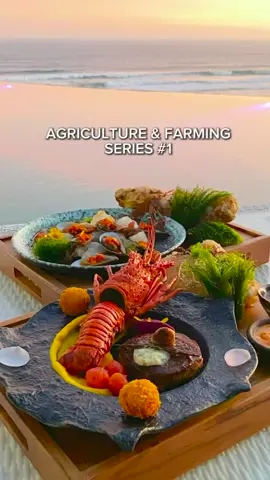 Project# 1 Agriculture & Farming Series (Queen of the South Resort)  📍Pantai Baron, Gunung Kidul Yogyakarta #fyp #wisatajogja #jogjahits 