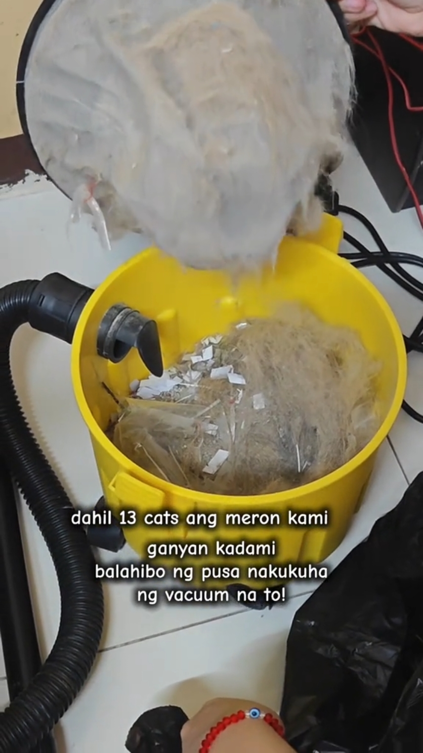 Grabe ganto kadami balahibo nakukuha ng vacuum na to! Best budol mga mi. mapapagaab nito ang gawaing bahay mo. 😍 #vacuum #vacuumcleaner #fujihama #budolfinds #fyp 