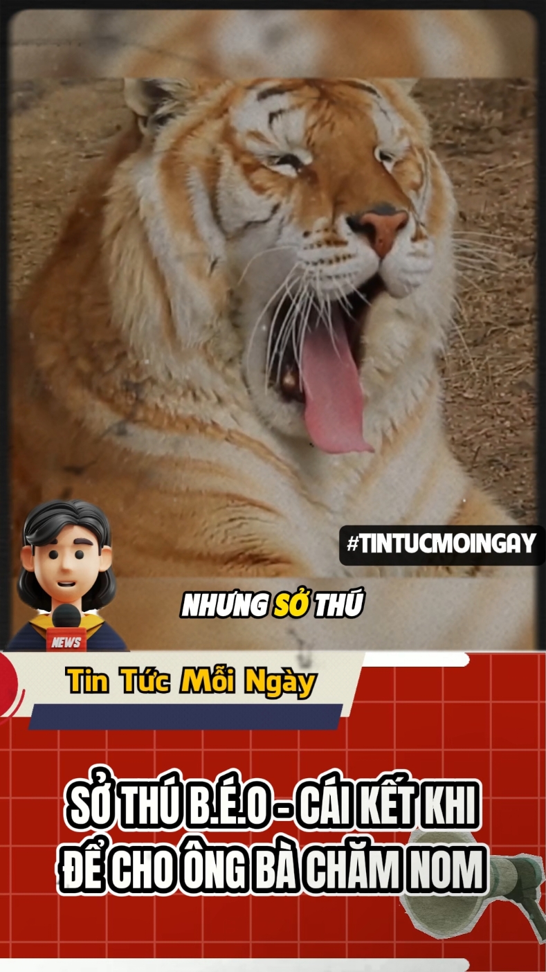 Sở thú với những người mẫu đẫy đà 🤣🤣 #tintucmoingay #tintuc #funny #funnyvideos #funnynews #xuhuong #fyp 