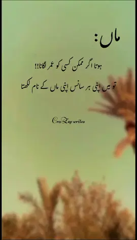 mOthers are the mOst beautiful thing of world🌺🐣#lines🔥 #dontunderreviewmyvideo #1millionaudition #urdushayari #fypシ゚ #newpoetry #poetrystatus 