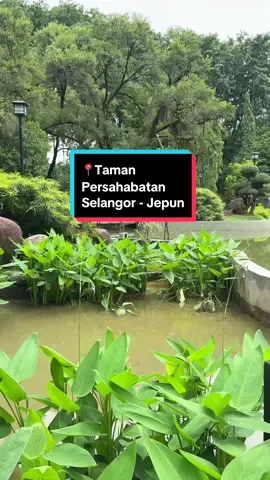 beautiful and nice place for photoshoot 😍 #tamanpersahabatanselangorjepun #tamanjepunshahalam #tempatmenarikselangor 