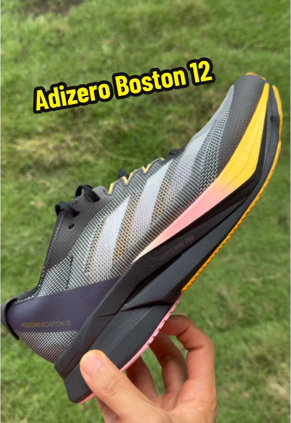 Adizero Boston 12 for my tempo runs! #runningshoes #Running #adizeroboston12 #adidas 