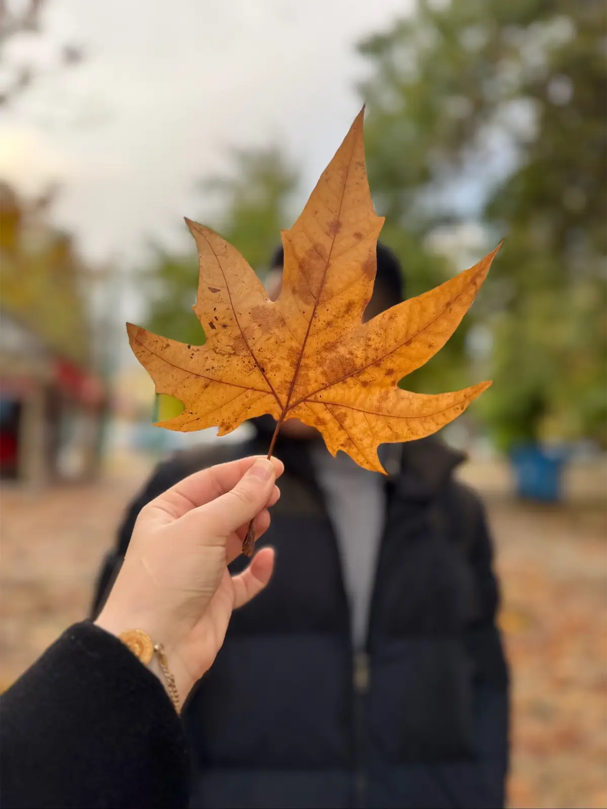 Armağanım 🫠🍁🫶🏻 #sevgilim #keşfetteyizzz 