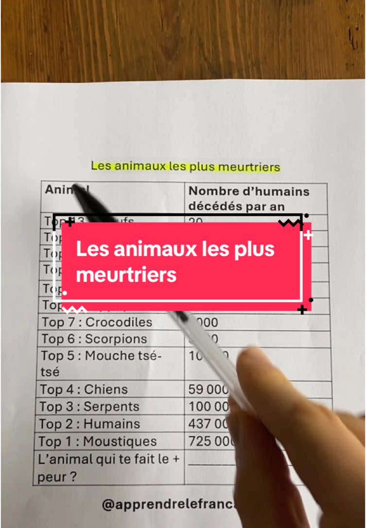 Les animaux les plus meurtriers #animal #animaux #France #languefrançaise #parlerfrancais #francais #apprendre #apprendrelefrançais 