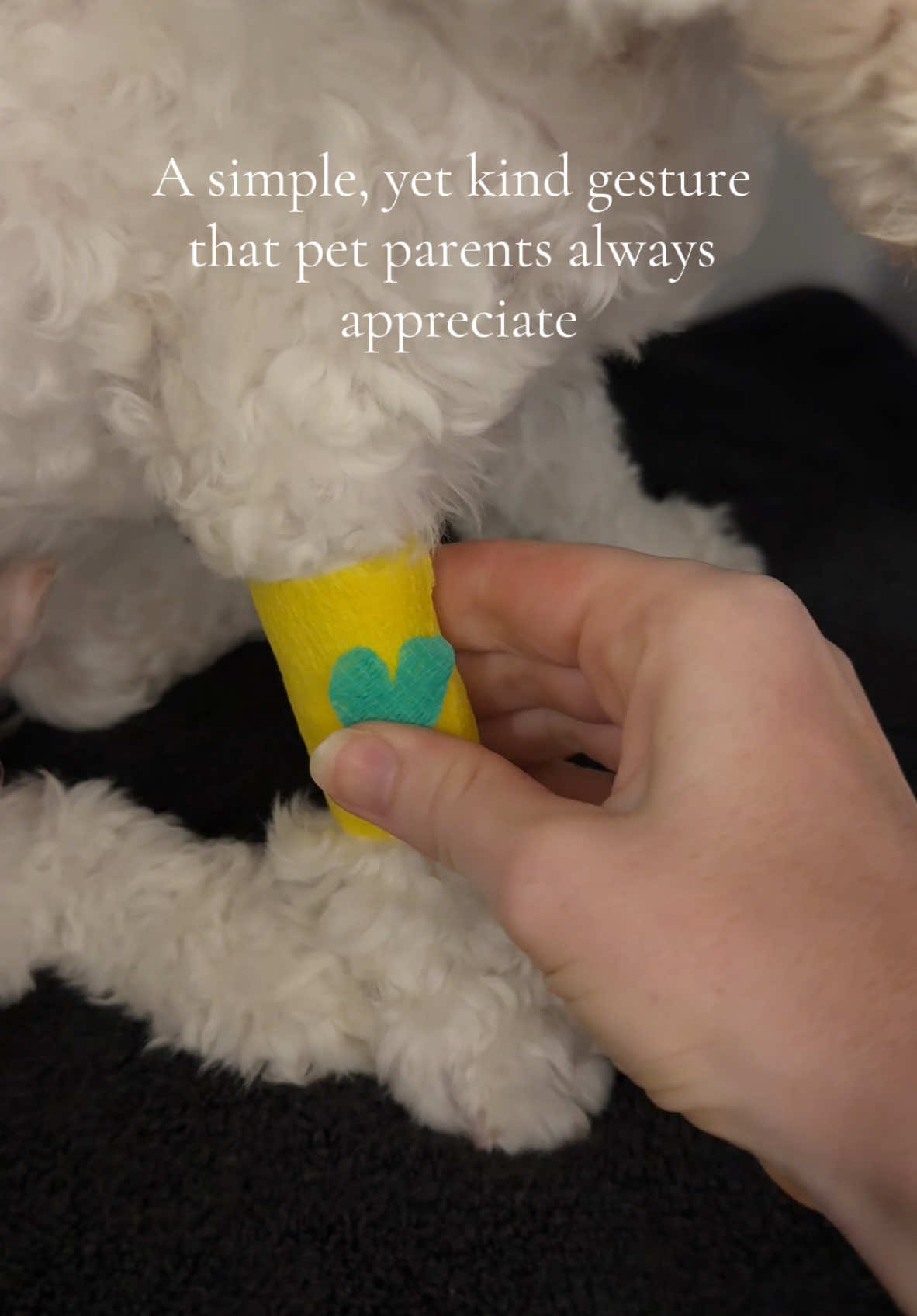 “The little love heart 🥹”  Its also a great way to communicate within your vet nurse or tech team that the patients IV catheter has been removed 🩺👩🏼‍⚕️🐶🐱👩🏼‍⚕️💓  What other little niceties does your clinic do for pet parents? 🩷👩🏼‍⚕️  #vetnurse #vettech #vet #veterinary #vetclinic #vetcare #pets #vetmed #vettechlife #vetnurselife #vetnursestudent #vettechstudent #vetstudent #vetnursing #veterinarymedicine #vetnurseschool #veterinarynurse #vetnurseshop