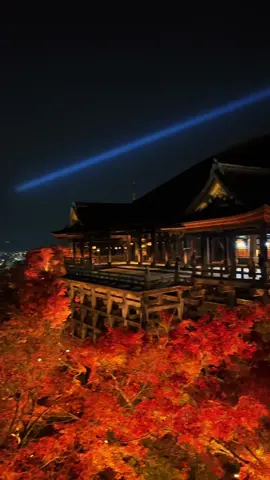 Kiyomizu-dera (Kyoto) / 清水寺 The illumination of Kiyomizu-dera Temple at night is truly beautiful🥰🤩🍁 🎥2023 Please Share🥰😊🙏 Please follow 👉@japan_walker_  #japan #japantravel  #japantrip #anime #animejapan #japananime  #japangram #japan🇯🇵 #traveljapan  #tripjapan   #kyoto #kiyomizu #kiyomizudera #kyotojapan #kyototravel #kyototrip #kyototemple #kyotogram #kyotosightseeing #japon #japones #japonesa #autumn  #紅葉 #秋 #京都 #京都旅行 #京都観光 #清水寺 