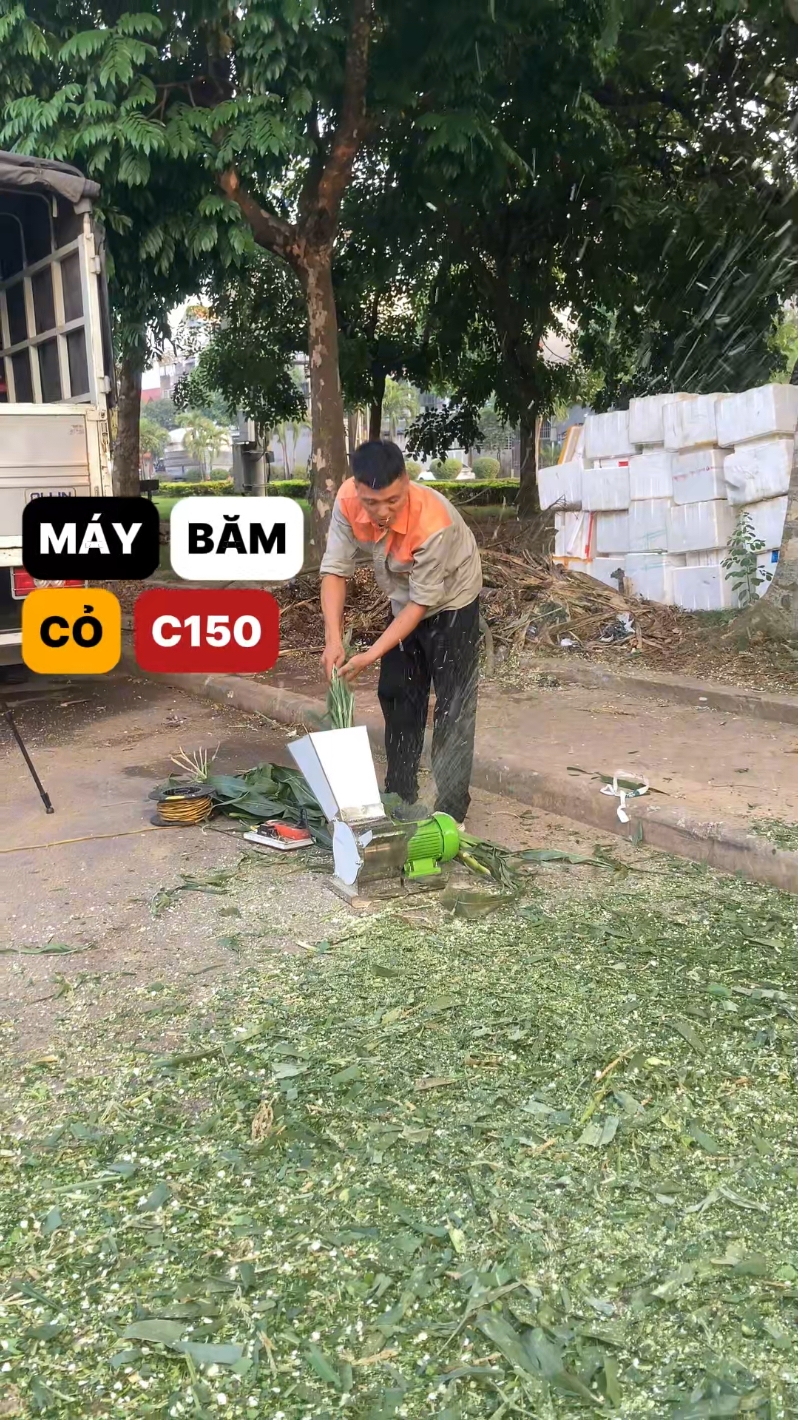 Máy Băm Cỏ Inox C150, Vừa Nhỏ, Vừa Rẻ, Băm Cỏ Lại Siêu Nhanh #trangtrai #channuoi #maybamco #binhquangroup 