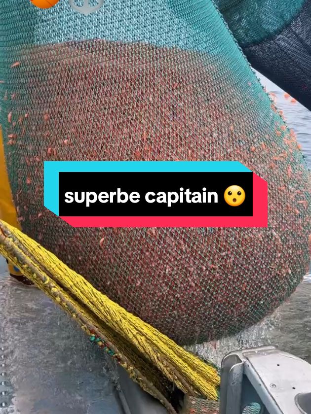 superbe capitain 😮 ça alors  erstaunlich