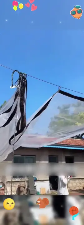 🎉Tired of worrying about sun damage and rainstorms? This thickened transparent tarp is the answer! 😎 💪Provides excellent protection against harsh sun rays and heavy downpours. Ideal for various outdoor uses. 👍 ✨Don't let the elements ruin your plans. Order now and secure your space with this reliable tarp! 😜 #TransparentTarp #SunProtection #Rainproof #OutdoorEssentials #WeatherShield #tiktokshopblackfriday #tiktokshopcybermonday #spotlightfinds