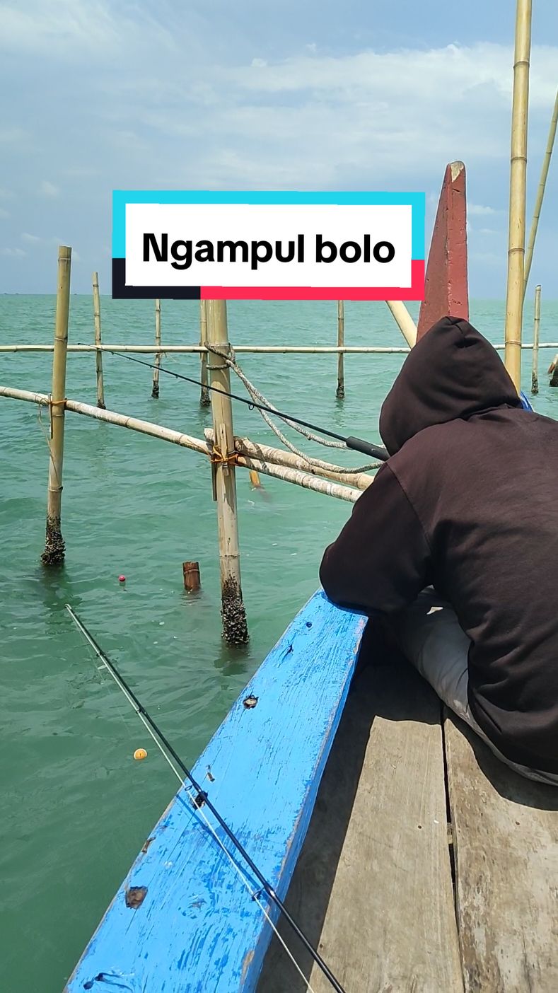 Piknik.e mung ngene kang 😁         #barramundi #demak #ikantompel #kerapu #fyp #xzycba #rumpon #trend #fypシ゚viral #viral #kakapputih #rumponlaut #mancingmania #mancing 