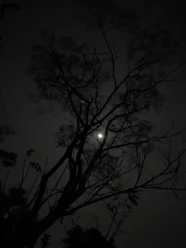 চাঁদ নিয়ে একটা লাইন বলে যাও  #foryoupagе #fyp #anfeezemyaccont #foryou #viral #edit @TikTok Bangladesh @TikTok 