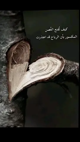 همك كبير ياقلبي ومين بيسمعك  🤎 . . . . #عزف#بزق#موسيقى 
