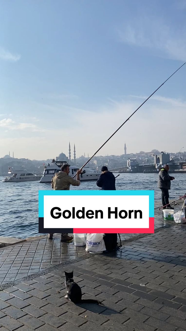 Walk where Golden Horn and Bosphorus meet. #bosphorus #goldenhorn #fish #istanbul #turchia #turquia #turquia🇹🇷 #trip #travelling #viaggiare #viaggio #fishing #karaköy 