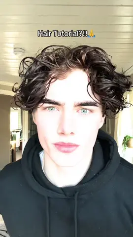 Anyone Want A Hair Tutorial?🙏 #hair #hairstyle #hairtok #SelfImprovement #SelfCare #looksmax #mogger #mogged #model #viralvideos 