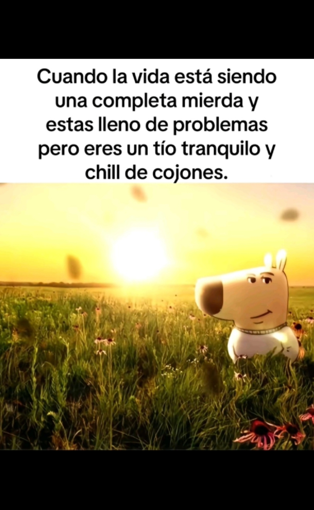 chill de cojones  #sentidodevida #psicologia #fyp #reels #lentejas #perrito #informacion #parati #tiktok #chilldecojones 