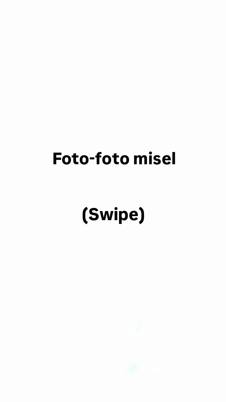 ver misel