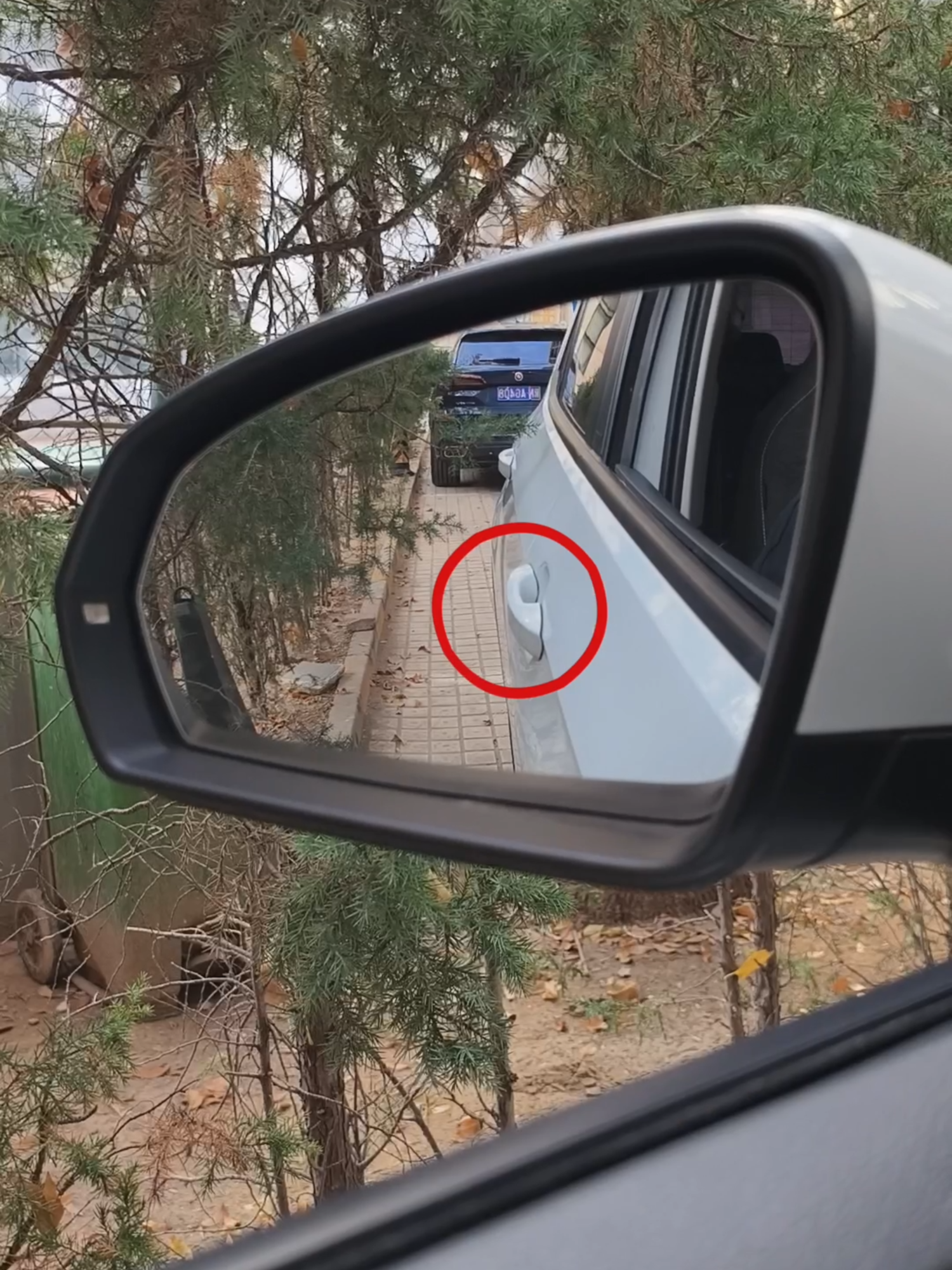 The correct position of the car side view mirror！#driving #skills #tips #knowledge #fpy