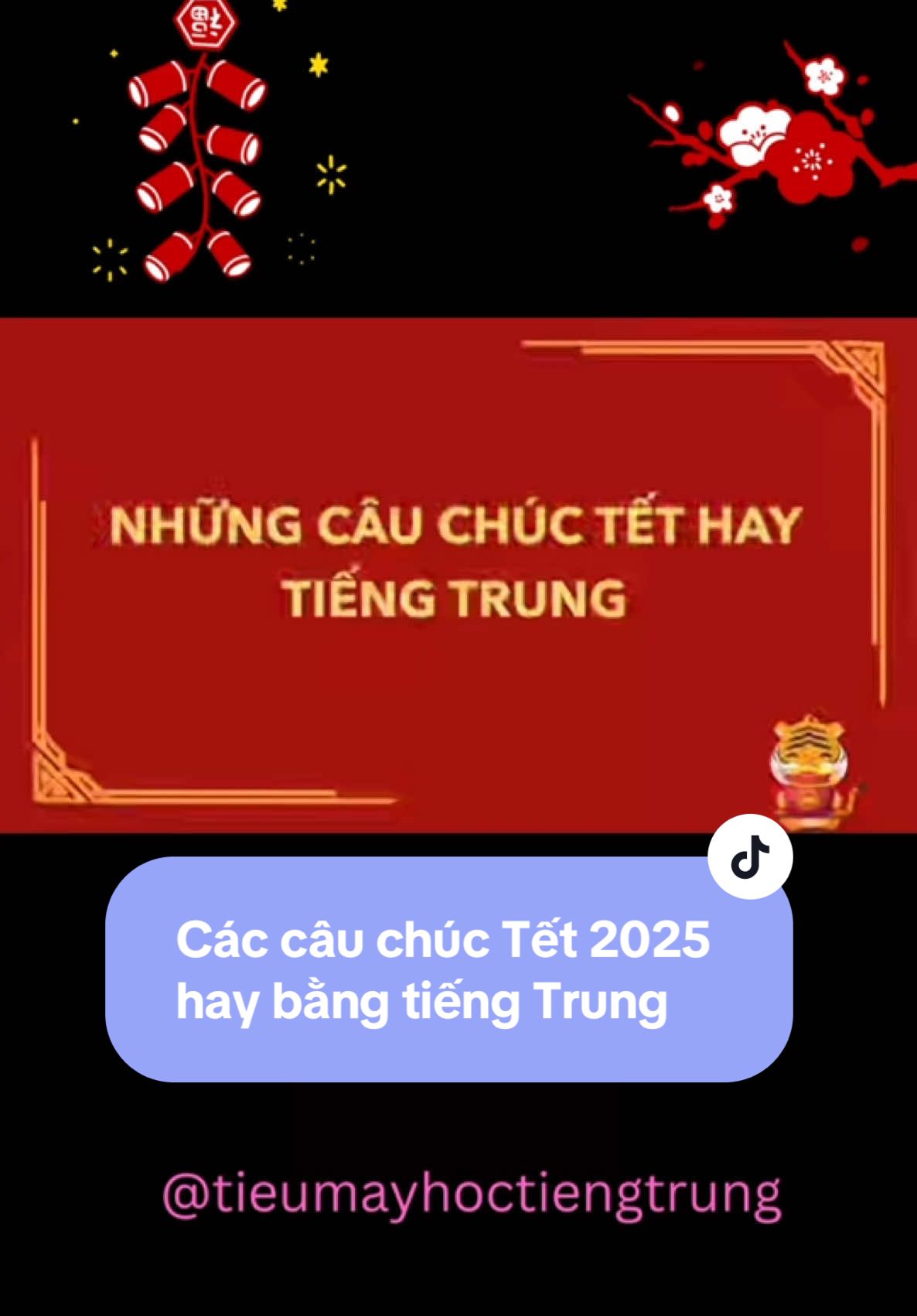 Phần 10: Các câu chúc Tết 2025 hay bằng tiếng Trung 🧧 #tieumayhoctiengtrung #hoctiengtrung #tieumay #LearnOnTikTok #tiktokedu 