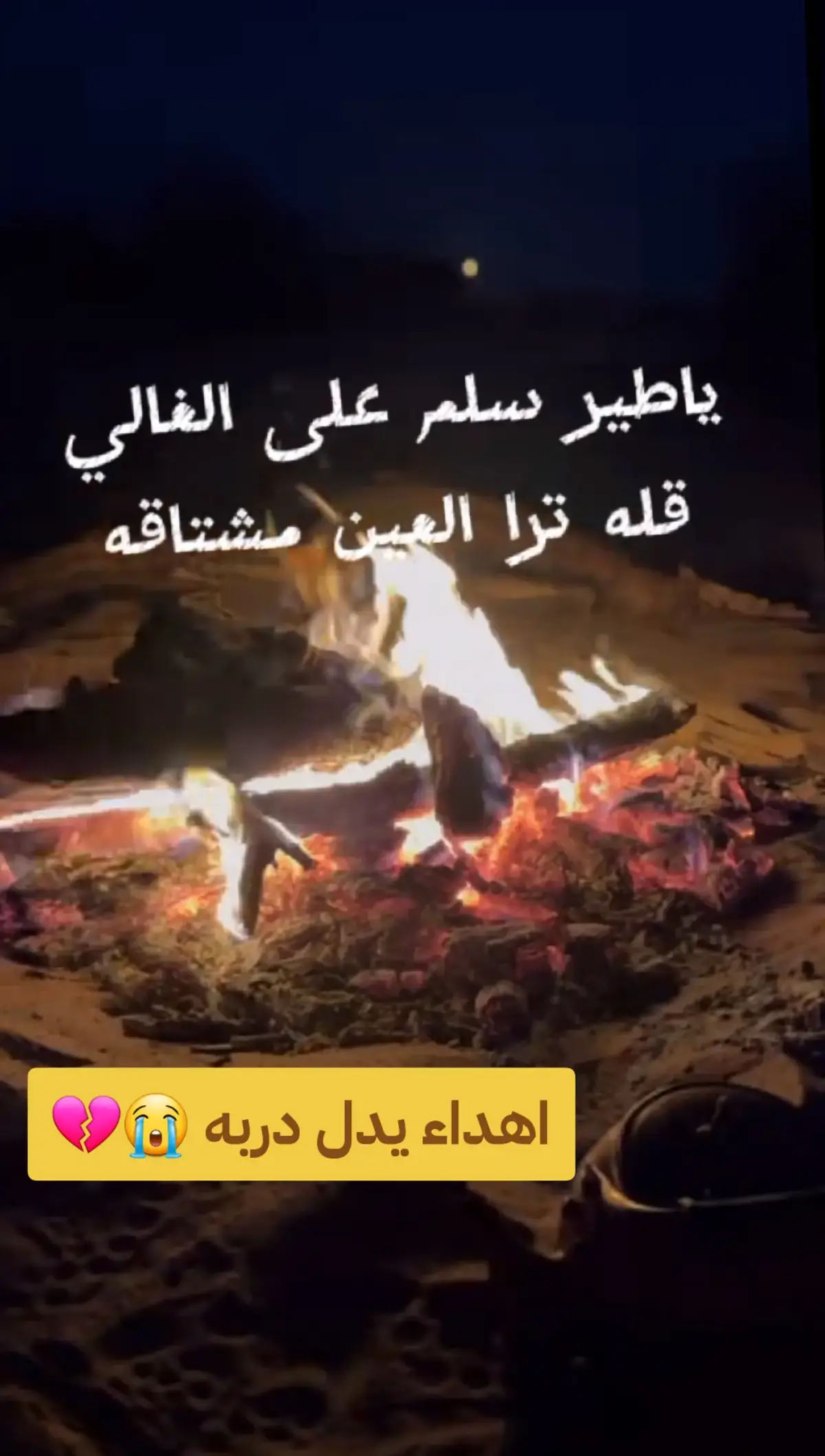 #الله_يسعدكم_ويسعد_جميع_اوقاتكم🌺🥰😍🌹💞 #مضاوي #كشته_طلعه_بر_وناسه #ترند_تيك_توك_مشاهير #خلوهااا_تعجج_نار_بلا_دخان🔥 