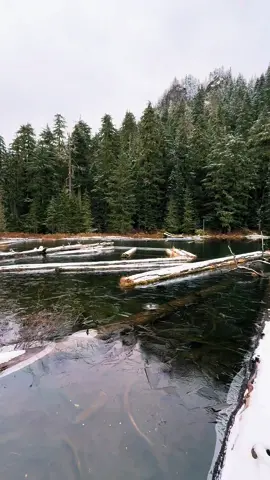 The way the snow shimmers in the reflection 🥹❄️  •• #Hiking #nature #mountains #Snow #natureTherapy #Hikewithme #PNW #WashingtonCheck #Fyp #Lake #Washington #OutdoorsyGirl #WinterHike #SnowyMountains 