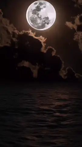 #كنت أعلم انك لن تكون لي ولاكن احببتك دون ارادتي ،،، 🕳️