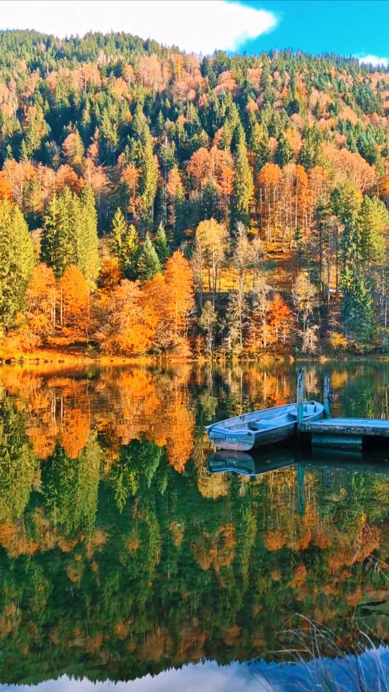 Autumn is leaving🧡👋🇨🇭 #switzerland #lake #water #reflection #autumn #see  #autumnvibes #autumn #nature #naturelovers #naturevibes #goodvibes #natureathome #lovenature #Outdoors #enjoy #moment #peaceful #relaxing #relaxingvideos #landscape #scenery #fyp #swiss #swissnature #travel #wanderer 