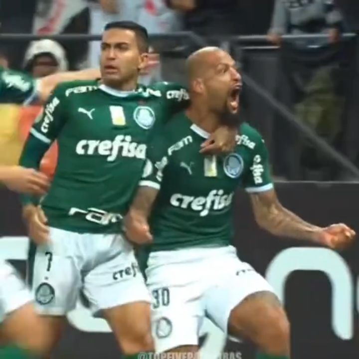 brincou nessa@👾 Miguel 👾 🤣 #palmeiras #felipemelo #pitbull #raça #zagueiro 