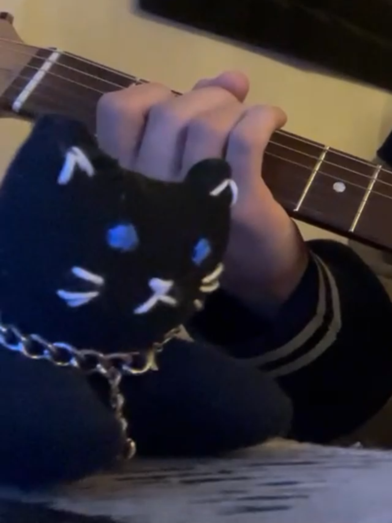 safe in ur skin feat. my gfs lil cat @s1ut4alice0 #titlefight #guitar #cover #punk #shoegaze