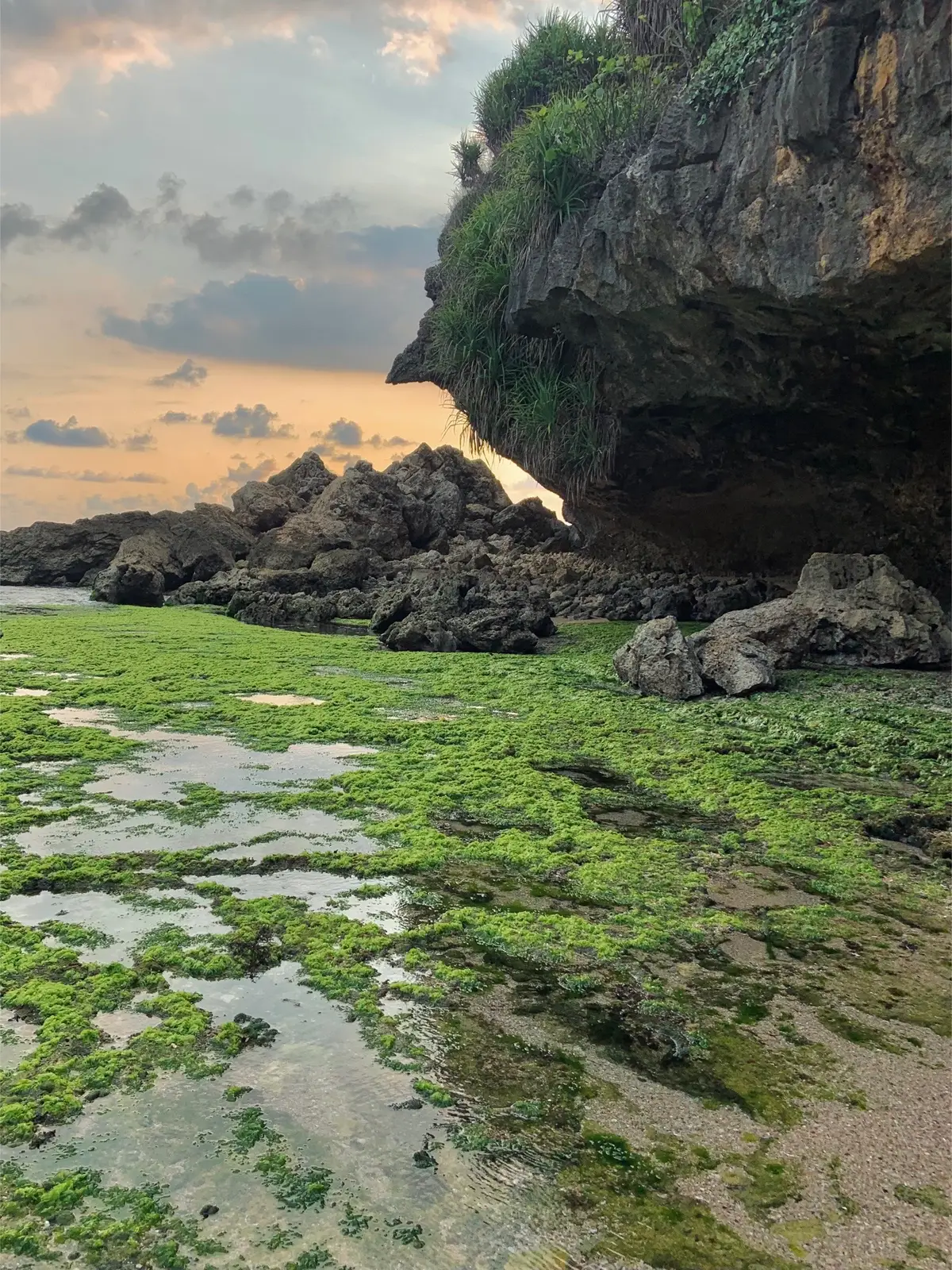 Private beach di deket Pantai Midodaren, akses jalannya udah enak (daripada pantai lain) cuma bayar parkir 5rb💸 TPR 10k💸#privatebeach #gunungkidul #pantaigunungkidul #rekomendasipantaigunungkidul #pantaijogja #jls #pantaimidodaren 