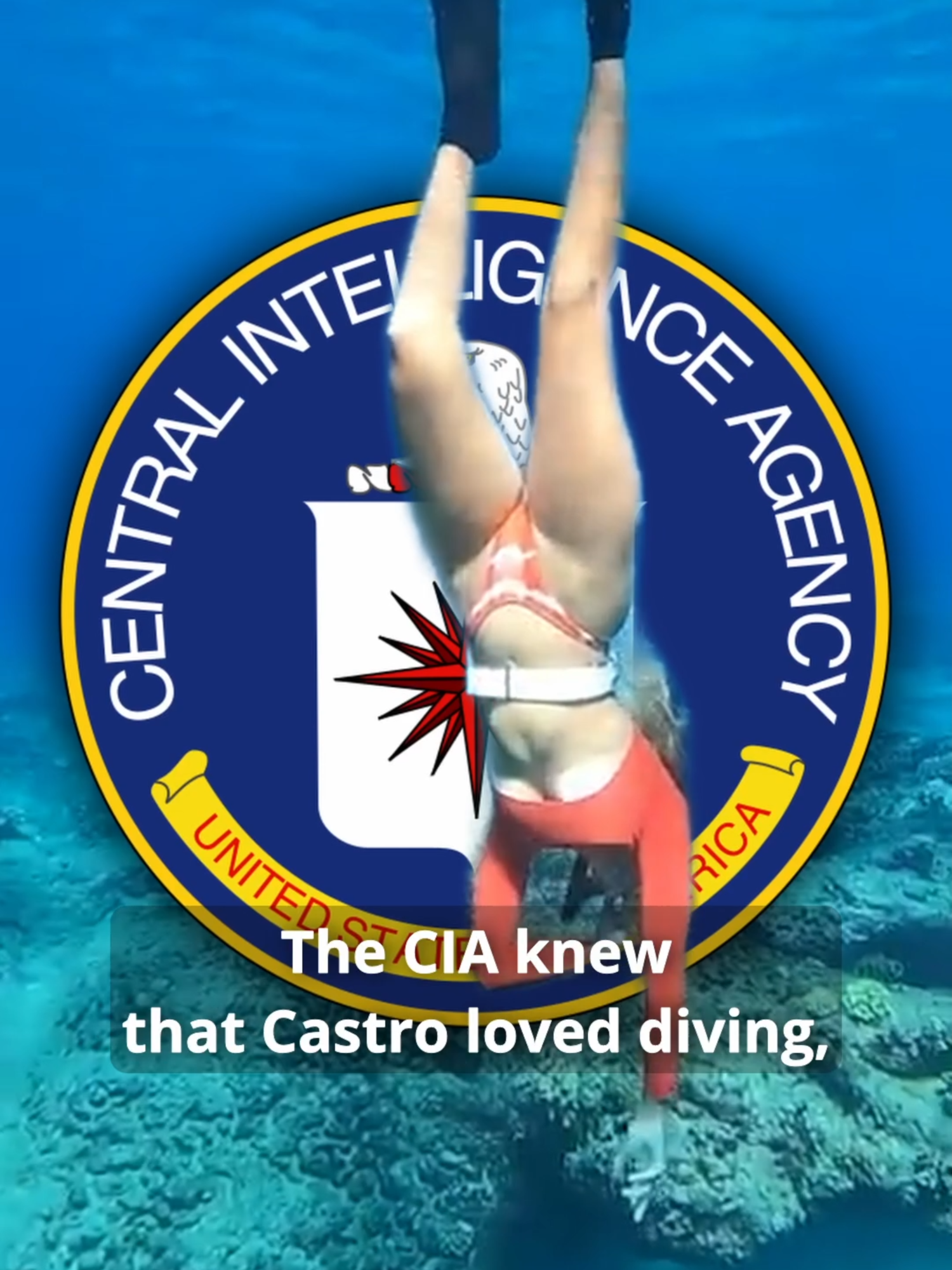 The Craziest CIA Assassination Attempts #cia #fbi #history #story #storytime