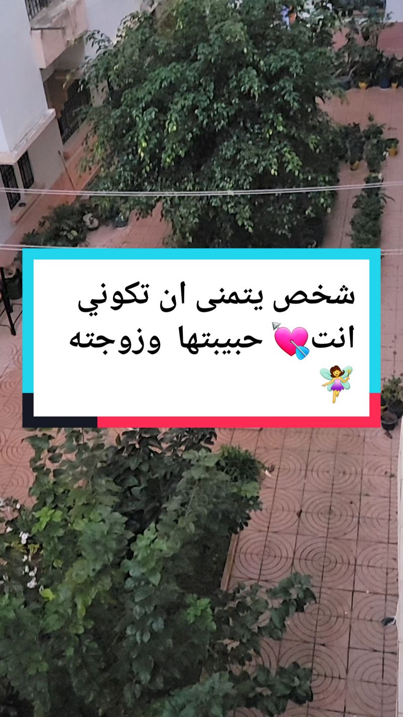 شخص يتمنى ان تكوني انت💘 حبيبتها  وزوجته🧚‍♀️ #ابراج #ابراج_اليوم #اكسبلور  #ابراج_فلكيه #حبيبي❤️ #تاروت  #فرنسا🇨🇵_بلجيكا🇧🇪_المانيا🇩🇪_اسبانيا🇪🇸 #اطاليا🇮🇹 #رسائل   #رسالة_اليوم #fouryou #tiktok 