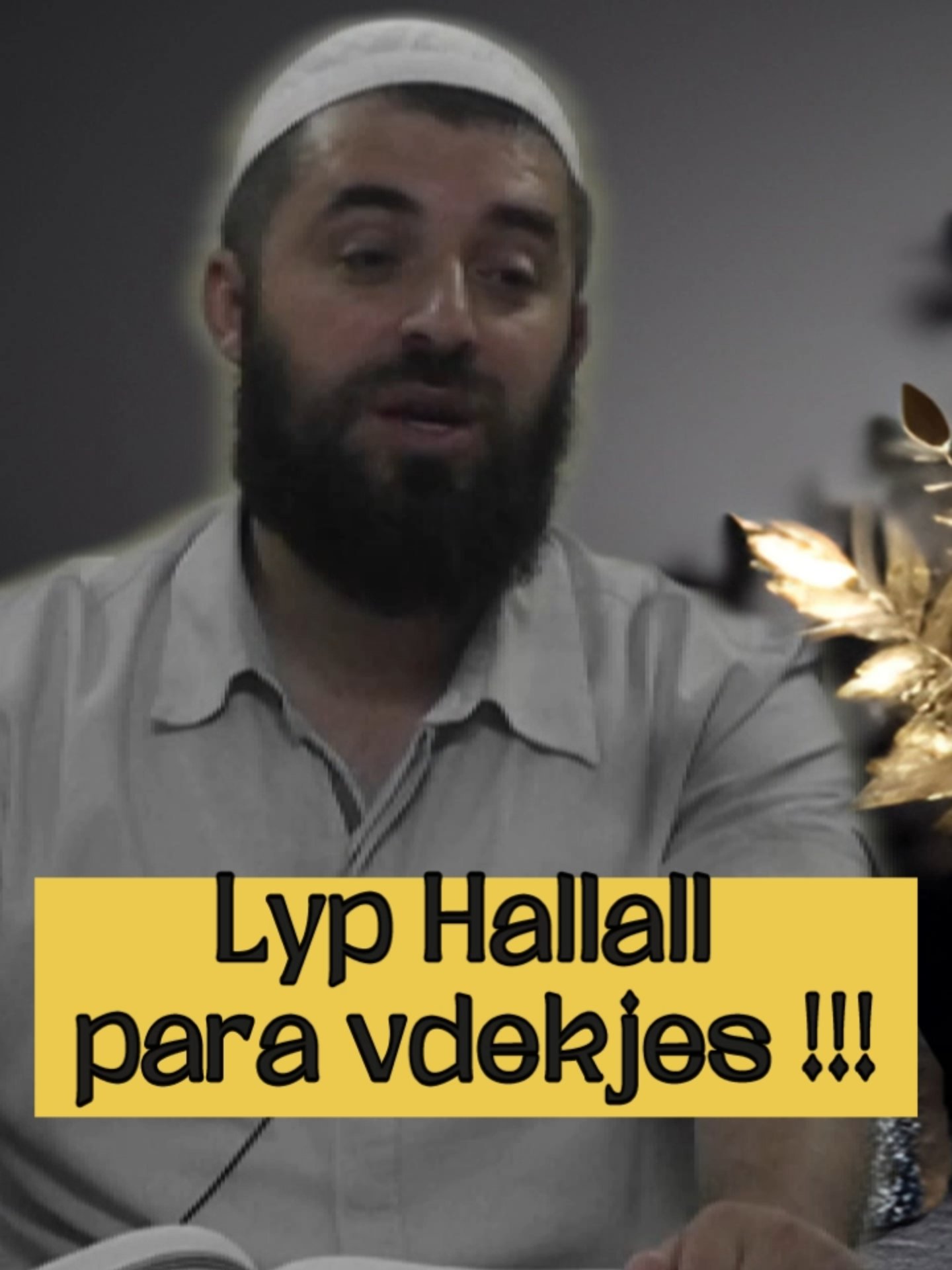 lyp hallall para vdekjes #enesgoga #fyp #hallall #islamishqip