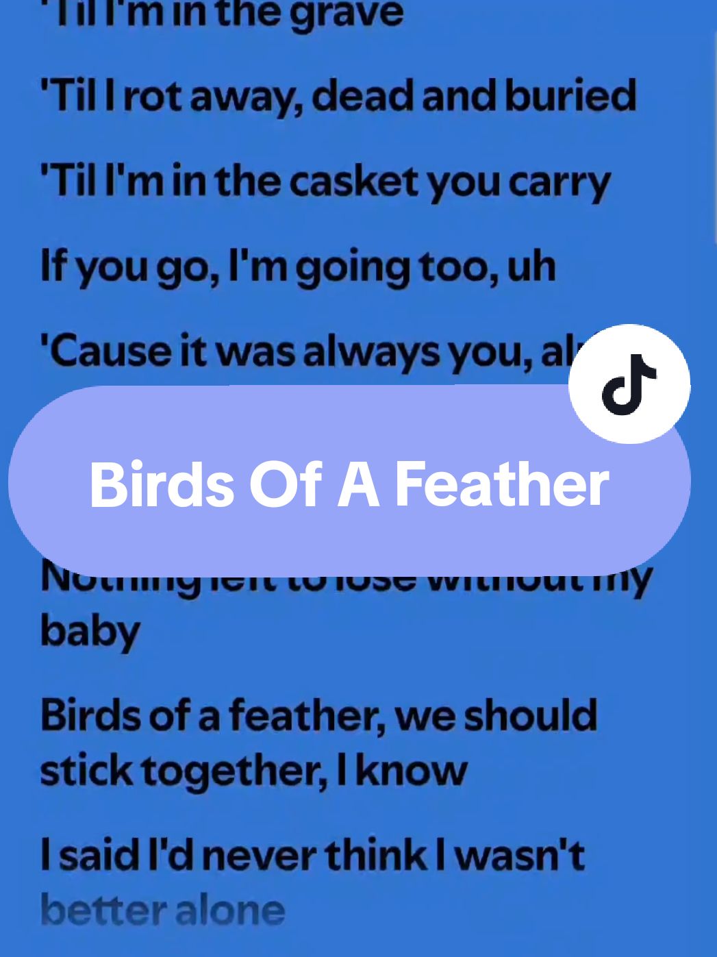 Billie Eilish-Birds Of A Feather #fyp #music #lyrics_songs #song #fy #billieeilish #bird #birdsofafeather 