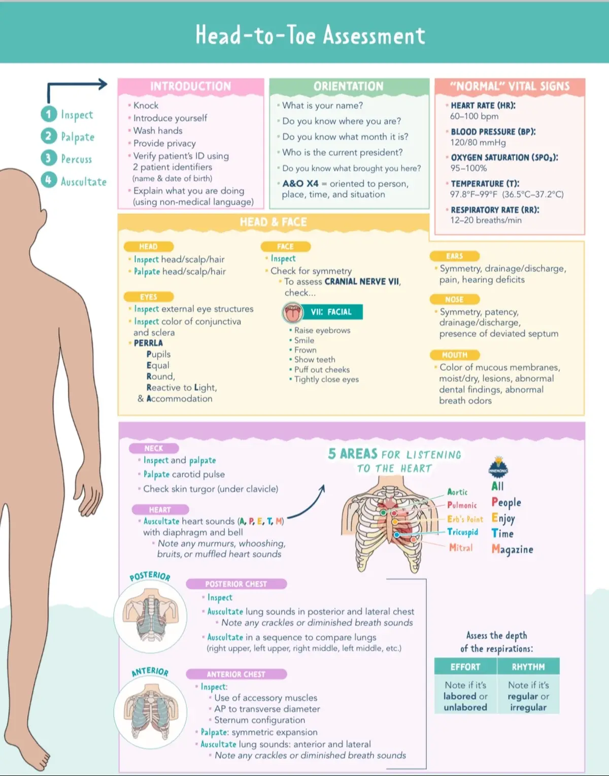 #nursingschool #nursingnotesyaban #antihypertensives #bloodpressure #heartrate #BSN #RN #LPN#nu #universidad #academiafiladd #chile #nursingschool ...#Head to toe assessment ##nursingschool #nursingnotesyaban #antihypertensives#bloodpressur