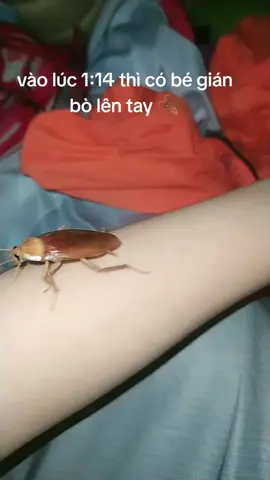 nhả vía cho cả nhà iu 👁️👄👁️🫶✨✨❤️